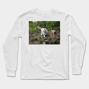 Little white cat in the garden Long Sleeve T-Shirt